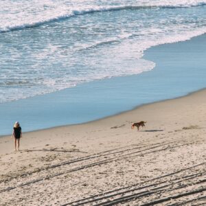 Costa Brava con Perros
